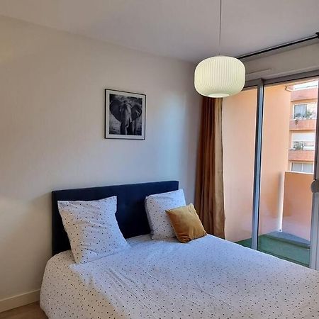 T3 Deluxe'S Avec Terrasse Διαμέρισμα Τουλούζη Εξωτερικό φωτογραφία